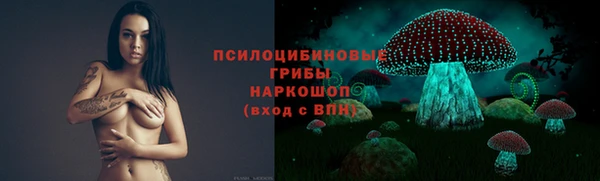 сатива Абдулино