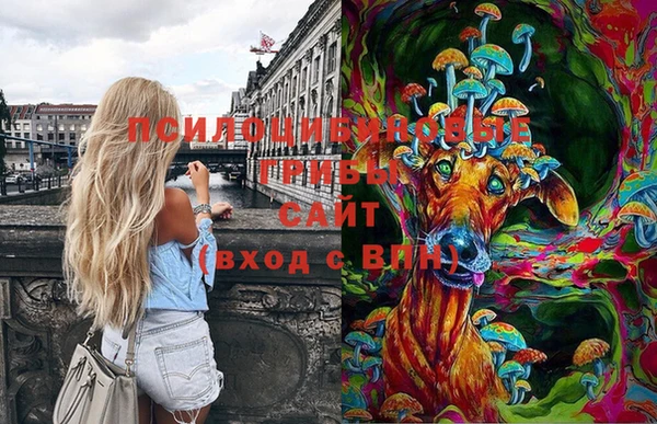 стафф Абаза