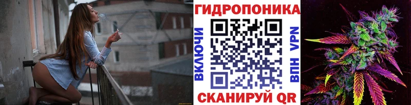 Шишки марихуана OG Kush  купить   Агрыз 